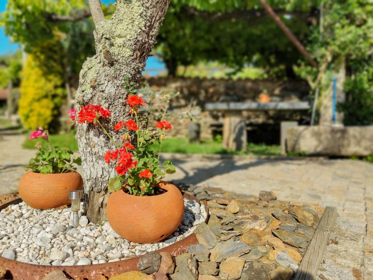 Casa Do Casal - Country House With Swimming Pool Viana do Castelo Esterno foto